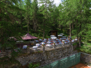 Terrasse im Lärchenwald beim Hotel Waldhaus Sils